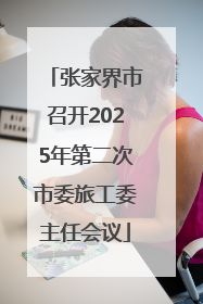 张家界市召开2025年第二次市委旅工委主任会议