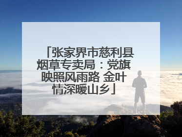 张家界市慈利县烟草专卖局：党旗映照风雨路 金叶情深暖山乡