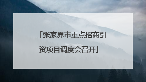 张家界市重点招商引资项目调度会召开
