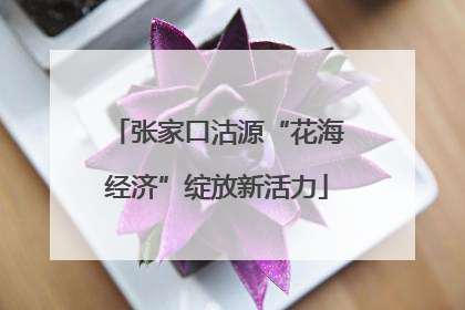 张家口沽源“花海经济”绽放新活力