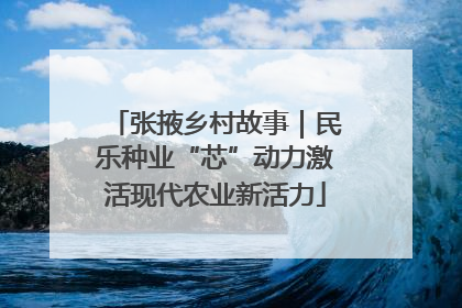 张掖乡村故事｜民乐种业“芯”动力激活现代农业新活力