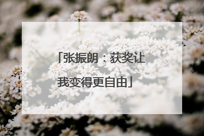 张振朗：获奖让我变得更自由