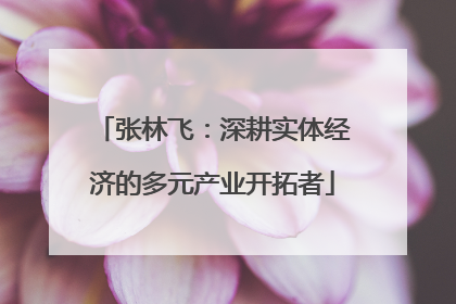 张林飞：深耕实体经济的多元产业开拓者