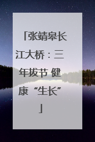 张靖皋长江大桥：三年拔节 健康“生长”