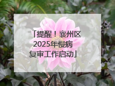 提醒！襄州区2025年慢病复审工作启动