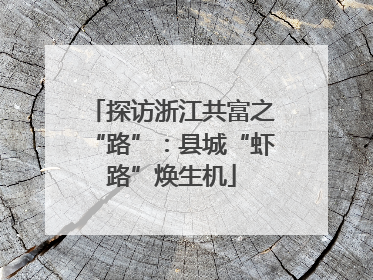 探访浙江共富之“路”：县城“虾路”焕生机
