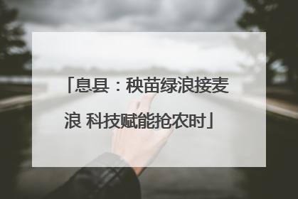 息县：秧苗绿浪接麦浪 科技赋能抢农时