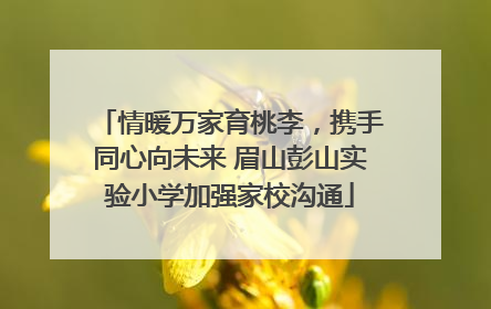 情暖万家育桃李，携手同心向未来 眉山彭山实验小学加强家校沟通