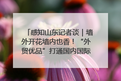 感知山东记者谈｜墙外开花墙内也香！“外贸优品”打通国内国际市场“旋转门”