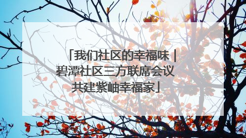 我们社区的幸福味｜碧潭社区三方联席会议共建紫岫幸福家