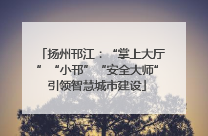 扬州邗江：“掌上大厅”“小邗”“安全大师”引领智慧城市建设