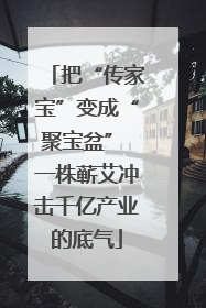 把“传家宝”变成“聚宝盆” 一株蕲艾冲击千亿产业的底气