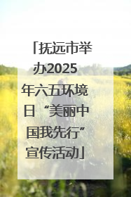 抚远市举办2025年六五环境日“美丽中国我先行”宣传活动