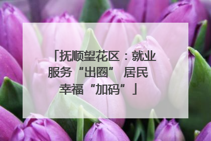 抚顺望花区：就业服务“出圈” 居民幸福“加码”