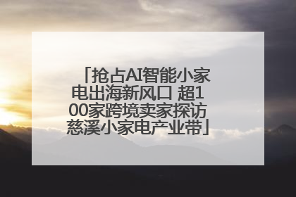 抢占AI智能小家电出海新风口 超100家跨境卖家探访慈溪小家电产业带