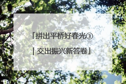 拼出平桥好春光③｜交出振兴新答卷