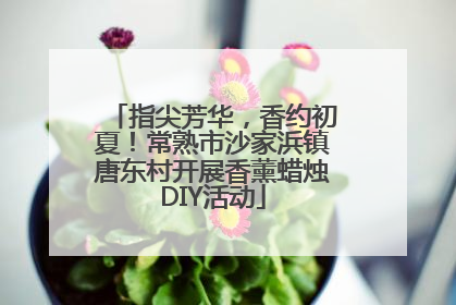 指尖芳华，香约初夏！常熟市沙家浜镇唐东村开展香薰蜡烛DIY活动