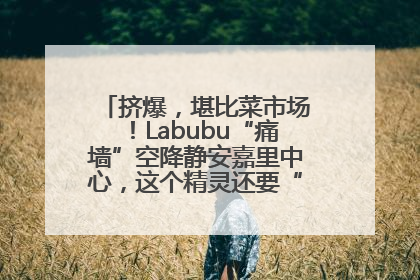 挤爆，堪比菜市场！Labubu“痛墙”空降静安嘉里中心，这个精灵还要“突袭”便利店？