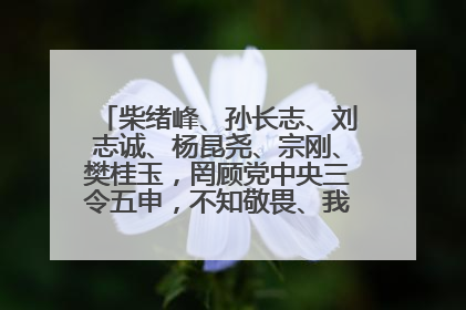 柴绪峰、孙长志、刘志诚、杨昆尧、宗刚、樊桂玉，罔顾党中央三令五申，不知敬畏、我行我素、肆意妄为！