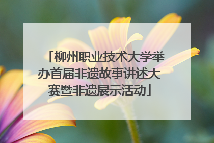 柳州职业技术大学举办首届非遗故事讲述大赛暨非遗展示活动