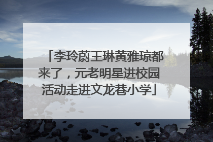 李玲蔚王琳黄雅琼都来了，元老明星进校园活动走进文龙巷小学