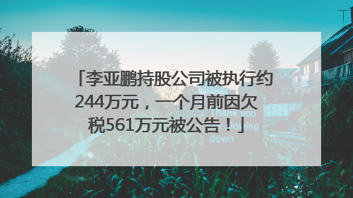 李亚鹏持股公司被执行约244万元，一个月前因欠税561万元被公告！