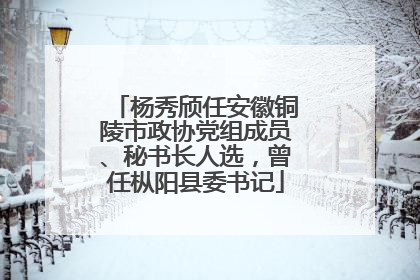 杨秀颀任安徽铜陵市政协党组成员、秘书长人选，曾任枞阳县委书记