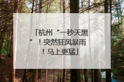 杭州“一秒天黑”！突然狂风暴雨！马上更猛