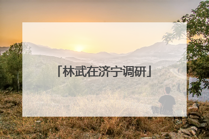 林武在济宁调研