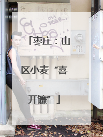 枣庄：山区小麦“喜开镰”