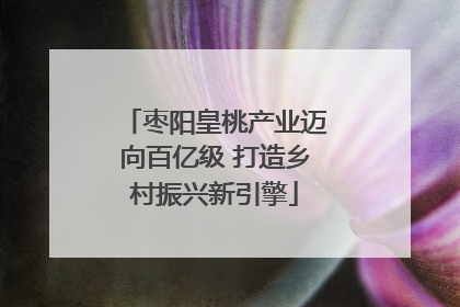 枣阳皇桃产业迈向百亿级 打造乡村振兴新引擎