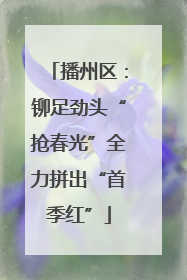 播州区：铆足劲头“抢春光”全力拼出“首季红”
