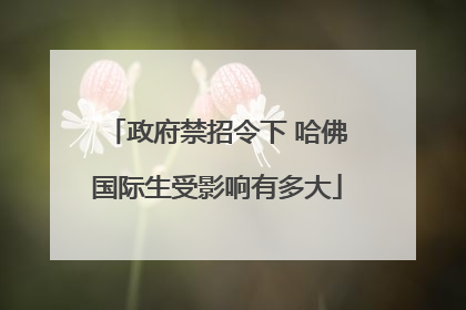 政府禁招令下 哈佛国际生受影响有多大