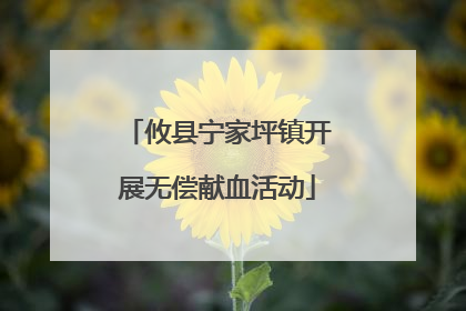 攸县宁家坪镇开展无偿献血活动