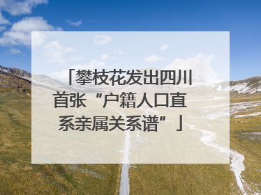 攀枝花发出四川首张“户籍人口直系亲属关系谱”