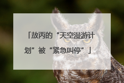 敖丙的“天空漫游计划”被“紧急叫停”