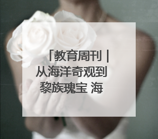 教育周刊｜从海洋奇观到黎族瑰宝 海南高校博物馆很有料
