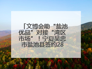 文博会助“盐池优品”对接“湾区市场”！宁夏吴忠市盐池县签约28.44亿元