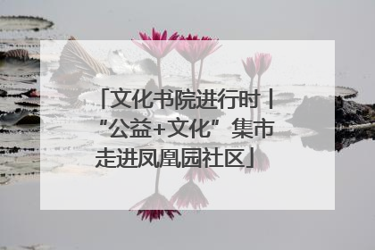 文化书院进行时丨“公益+文化”集市走进凤凰园社区