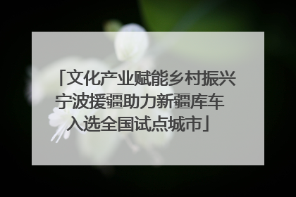 文化产业赋能乡村振兴 宁波援疆助力新疆库车入选全国试点城市