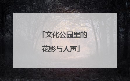 文化公园里的花影与人声