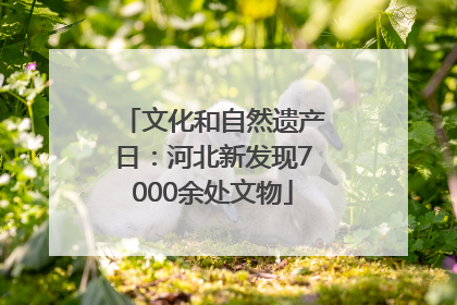 文化和自然遗产日：河北新发现7000余处文物
