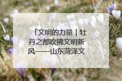 文明的力量｜牡丹之都吹拂文明新风——山东菏泽文明创建一线见闻