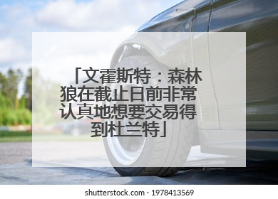 文霍斯特：森林狼在截止日前非常认真地想要交易得到杜兰特