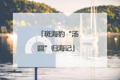 斑海豹“汤圆”归海记