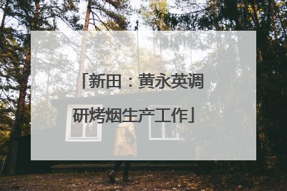 新田：黄永英调研烤烟生产工作