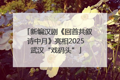 新编汉剧《回首共叙诗中月》亮相2025武汉“戏码头”