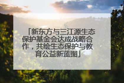 新东方与三江源生态保护基金会达成战略合作，共绘生态保护与教育公益新蓝图