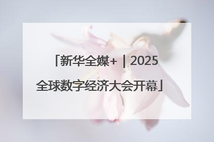新华全媒+｜2025全球数字经济大会开幕