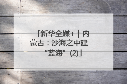 新华全媒+｜内蒙古：沙海之中建“蓝海”(2)